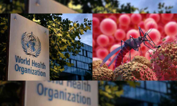 Second Malaria Vaccine is to be rolled out next year, recommended by WHO