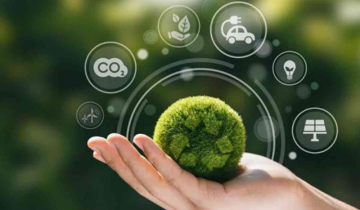 Assam's Renewable Energy Potential Calls for Policy Revamp, Say Experts