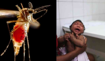 Rising Zika Virus Cases in Pune: Pregnant Women At Higher Risk