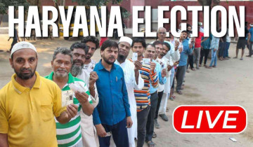 Haryana Elections: voter turnout has reached 61% as of 5 PM