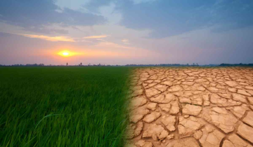 Impact of Climate Change on Agriculture: Key Challenges, Innovative Solutions, and Future Strategies for Food Security