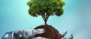Hidden Cost of AI: Environmental Impact of Generative AI and What We Can Do About It