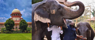 Supreme Court to Hear Plea for Panel on Rehabilitation of Captive Elephants at Vantara