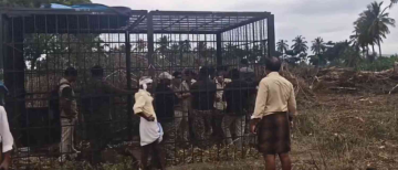 Villagers Cage Forest Staff in Protest Over Uncaught Tiger in Karnataka