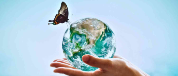 Ozone layer could recover to 1980s levels by 2050, say optimists on World Ozone Day