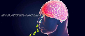 19 Dead in 9 Months: Kerala Battles Deadly ‘Brain-Eating Amoeba’ Outbreak