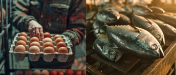 Officials Deny Reports of Meat, Egg Sale Ban in Bhopal During Navratri