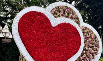 Cubbon Park Flower Show 2025 (ಕಬ್ಬನ್ ಪಾರ್ಕ್ ಪುಷ್ಪ ಪ್ರದರ್ಶನ 2025: ದಿನಾಂಕಗಳು, ಸಮಯಗಳು, ಟಿಕೆಟ್‌ಗಳು ಮತ್ತು ಪೂರ್ಣ ಮಾರ್ಗದರ್ಶಿ)