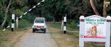 Valmiki National Park Bihar – The Hidden Jungle Treasure You Must Visit