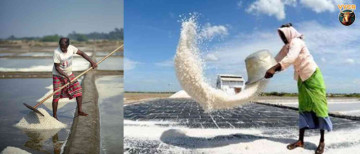 India Salt Workers Earn 10 Rupees For 20 Kilos Labour