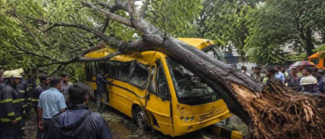 Mumbai Tree Fall Tragedy: BMC Suspends Two Officials After 11-Year-Old Student's Death