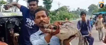 "Ek Bihari 100 Par Bhari!" Bihar Farmer Casually Carries a 5-Foot Crocodile to Police Station