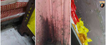 Shocking! Blinkit Warehouse License Suspended Over Cockroaches & Expired Foods