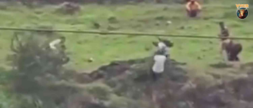 Tragic! Argument Over a New Phone Wipes Out an Entire Family in Maharashtra