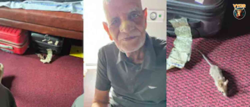 Nightmare on Train! Rat Bites 78-Year-Old Passenger's Nose in First AC of Pune-Indore Express