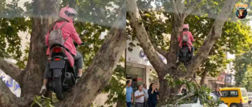 "Best Parking Ever?!" Woman's Scooty Stuck in a Tree Leaves Internet Baffled