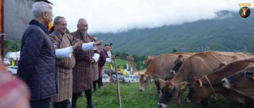 Why India Gifted 43 Jersey Cows to Bhutan | Indo-Bhutan Relations Explained