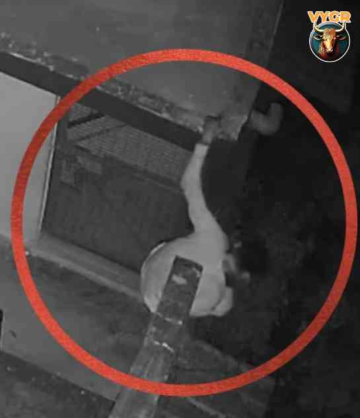 Shocking Ghaziabad Theft: Thief Loots House for 2 Hours While Family Sleeps