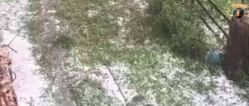 Massive Hailstorm Destroys Crops in Kinnaur, Himachal Pradesh: Farmers Demand Urgent Relief