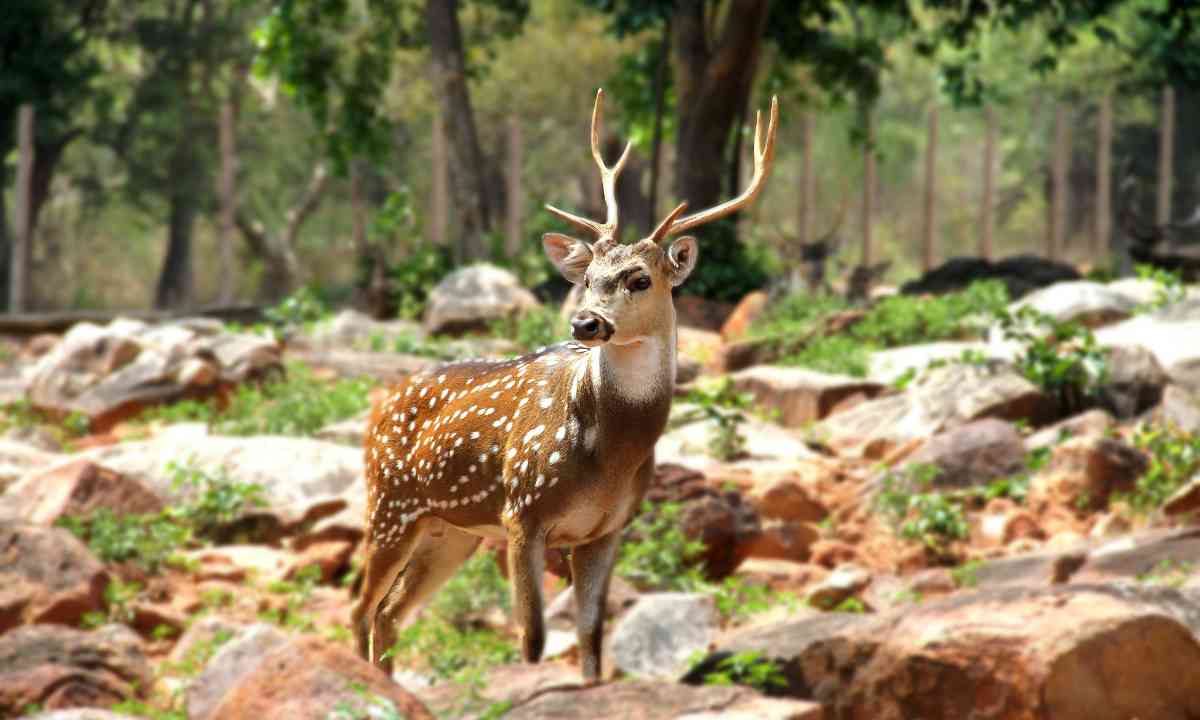 Blog Banner