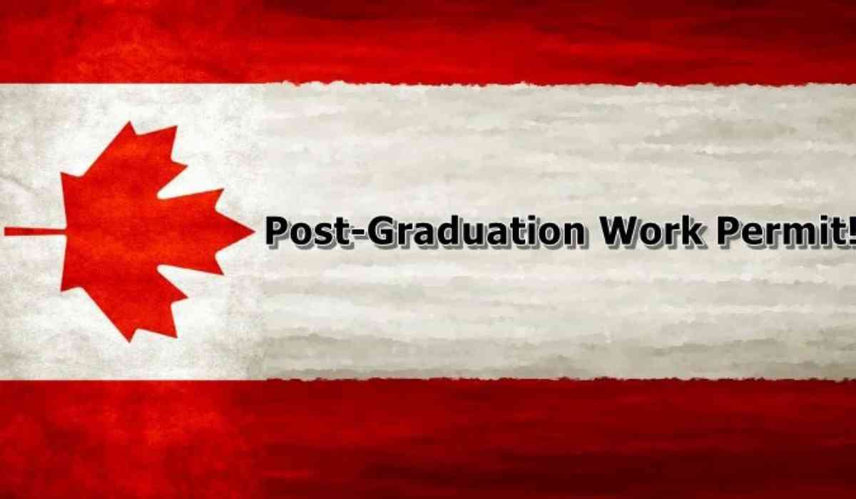 Blog Banner