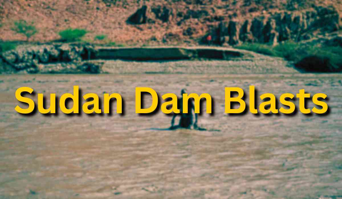 Blog Banner