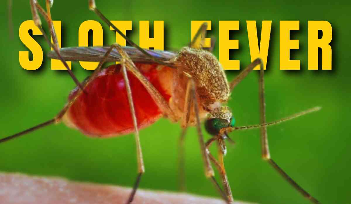 Blog Banner