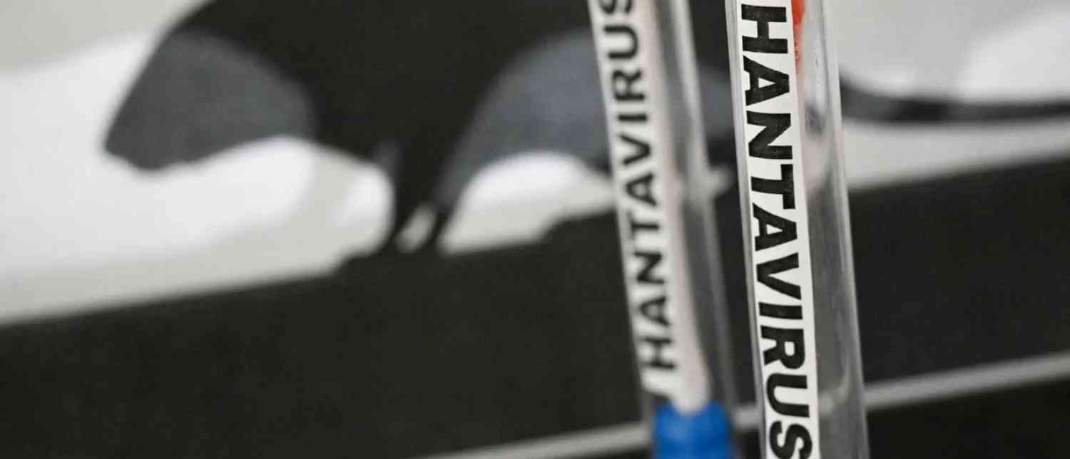 Blog Banner